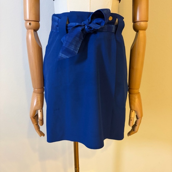 Elegant Blue Women's Skirt - Picture 3 of 12